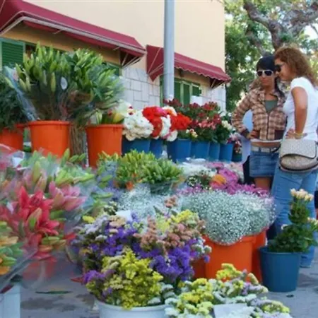 Casa Lleo פוינסה